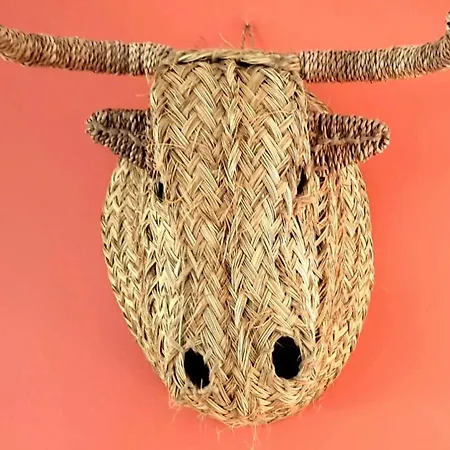 Casa Namagovi *